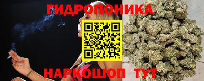 бошки Пенза