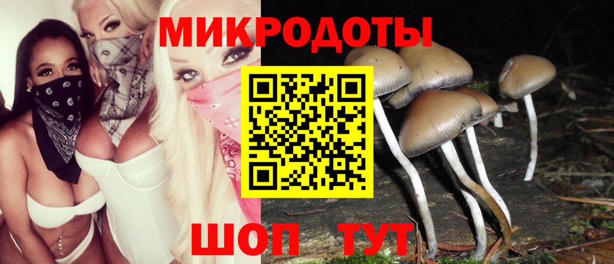 Галлюциногенные грибы MAGIC MUSHROOMS Отрадное
